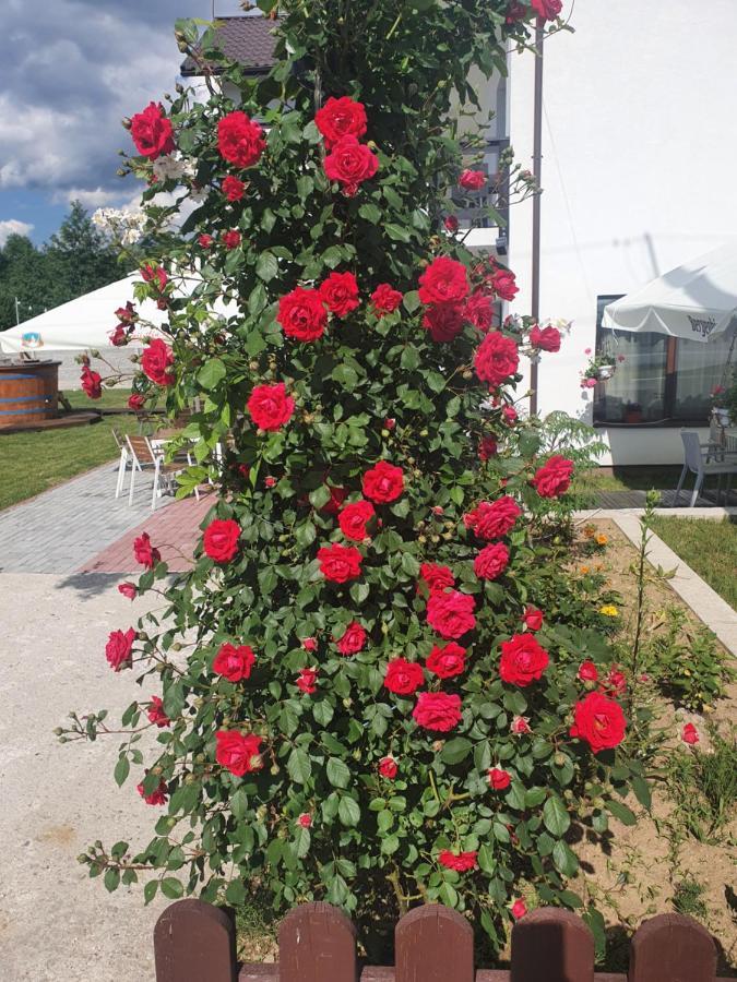 Milostea Pensiunea Ronicson מראה חיצוני תמונה
